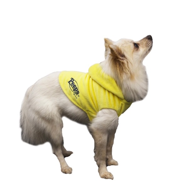 Peeps Chick Pet Costume - Picture 2 of 5